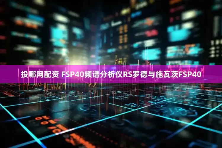 投哪网配资 FSP40频谱分析仪RS罗德与施瓦茨FSP40